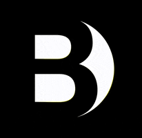 Logo B GIF by BONAVERI srl UNIPERSONANE