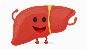 Health Body GIF by 522 Productions