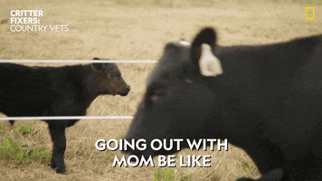 Baby Reaction GIF by Nat Geo Wild