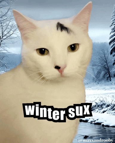 Sucks White Cat GIF
