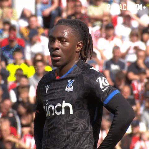 Staring Line Up GIF by Crystal Palace Football Club