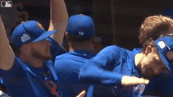 Celebrate Home Run GIF by New York Mets