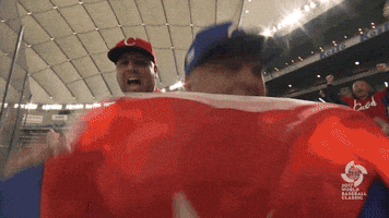 Fans Cuba GIF by MLB