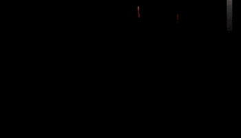 GIF by Triops King