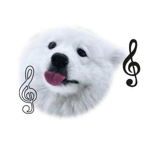 Davide Locatelli Sticker