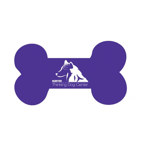 Thinking Dog Center at Hunter College GIF