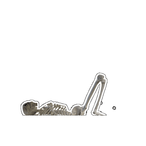 French Girl Skeleton Sticker by Vudora Marie