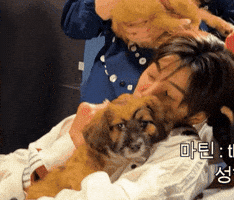 Cortis GIF