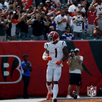 Who Dey Dancing GIF by NFL