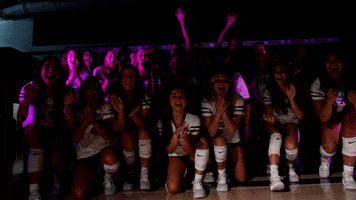 TommieAthletics celebration clap clapping volleyball GIF