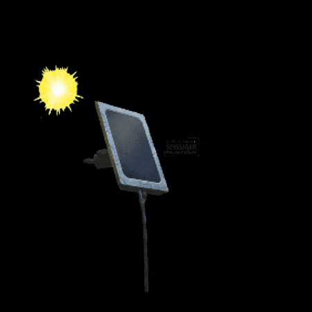 Solar GIF by Seissiger_Wildkamera