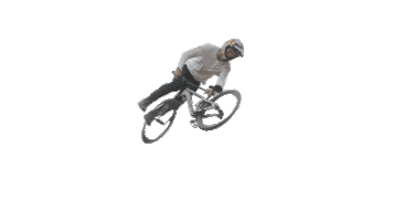 Rasoulution Sticker