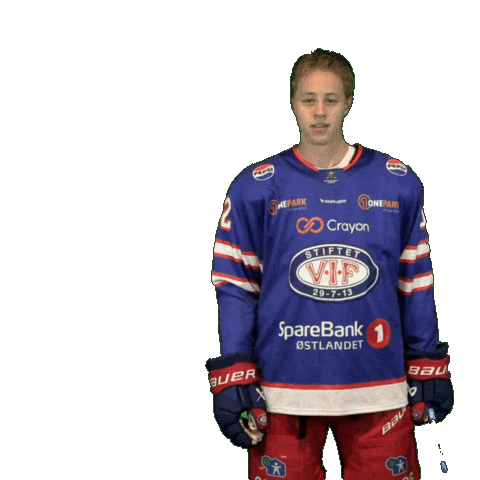 Hele Jordal Sticker by VIF Hockey