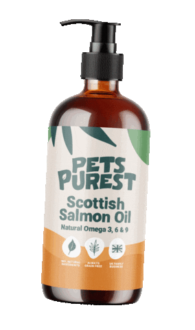 Dog Sticker by Pets Purest