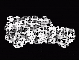 Black And White Art GIF by Tienqa