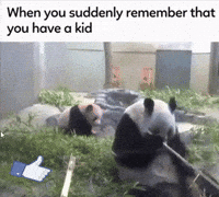 Kids Panda Gif By Gif Find Share On Giphy