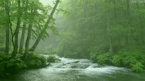 moving river gif