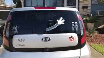 GIF by WiperTags Wiper Covers