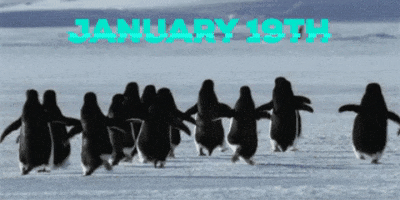 january 19 by GIF CALENDAR