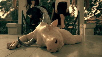 american horror story coven GIF by Alex Bedder