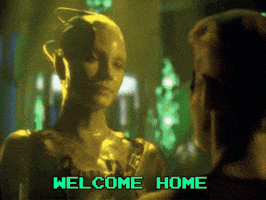 Star Trek GIF