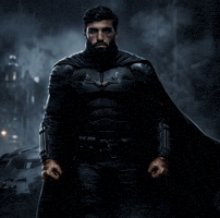Ufc Batman GIF