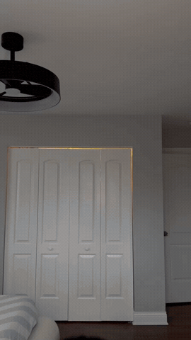 Chicago Assyrian GIF by Salem's Vision