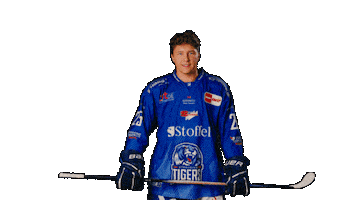 Schwarz Sticker by Straubing Tigers