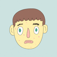 Fox Animation Lol GIF by Animation Domination High-Def