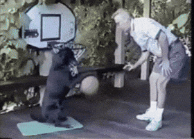 200.gif#44