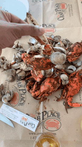Steamed Clams Seafood GIF by The Crab Place