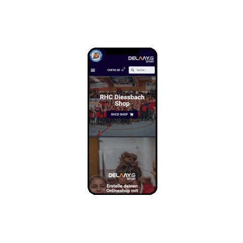 Shopping Shop Sticker by delaaysport