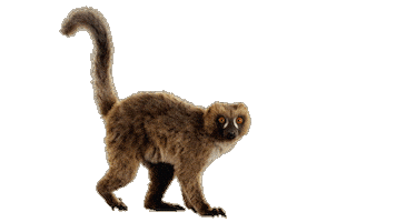 Maki Aida Sticker by AIDA_Cruises