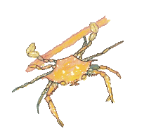 Crab Sticker