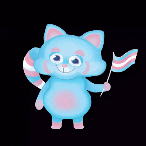 TransChat GIF