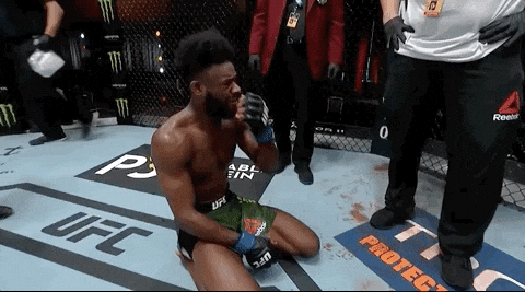giphy.gif