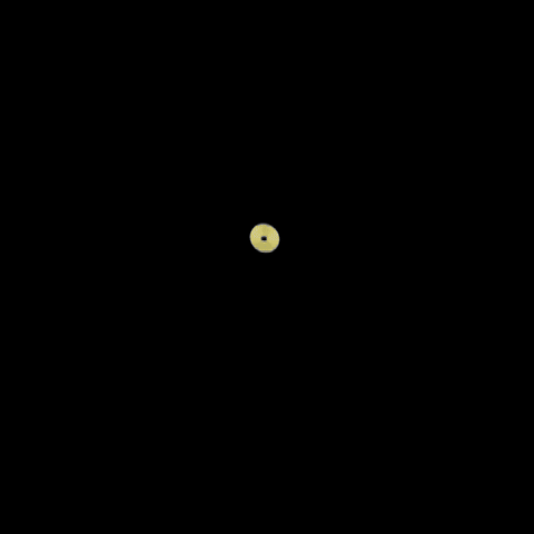 Fibonacci GIF
