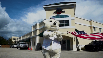 michaelnicola4164 happy usa flag america GIF