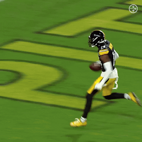 Lets Go Football GIF by Pittsburgh Steelers