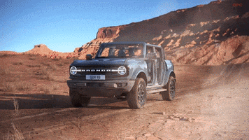Ford GIF