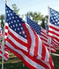 waving american GIF