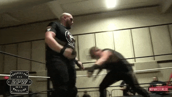 Pittsburgh GIF