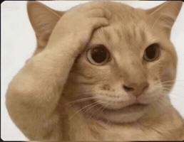 Ohno Omg GIF