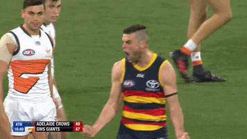 round 12 afl GIF by Adelaide Crows