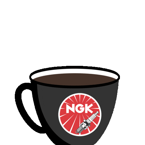 NGKSparkPlug Sticker