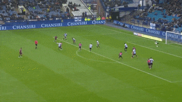 Touch Save GIF by Sheffield Wednesday Football Club