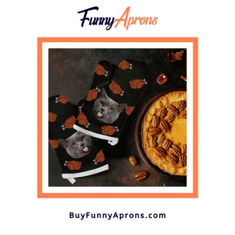 Cats GIF