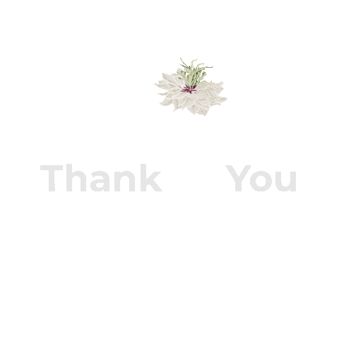 Elnahl Elnahlhoney Thankyou Recommended Sellingfast Elnahlhoneythankyou Sticker by El Nahl