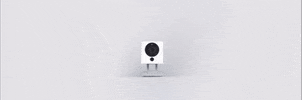 GIF by Nightout Dubai