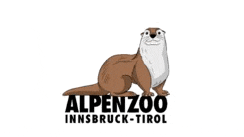 Otter GIF by Alpenzoo Innsbruck
